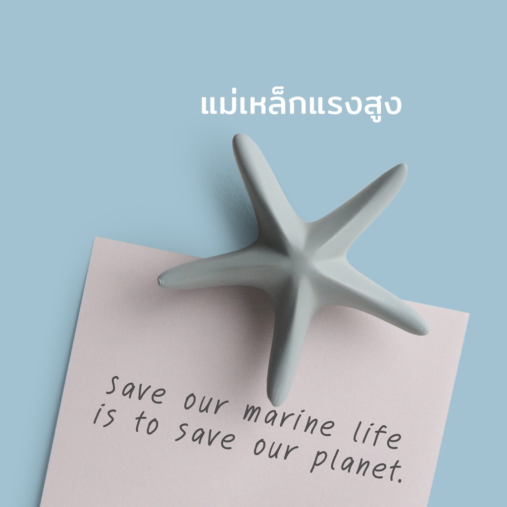 Sea Star Magnet แม่เหล็กติดตู้เย็น ดีไซน์ ปลาดาว Qualy (ควอลี่)