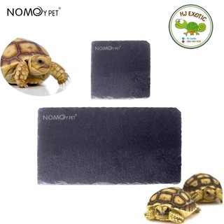 ถาดอาหารเต่าบก จานหินสี่เหลี่ยม ลดการเกิดจงอยปาก และเล็บยาวผิดรูป nomoy pet(พร้อมส่ง)