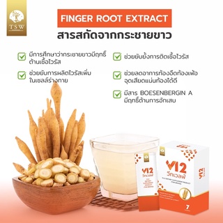 v12 กระชายขาวสกัดมาพร้อมสารสกัดพรีเมี่ยม