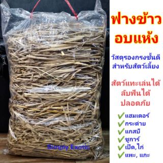 ฟางข้าวรองพื้นกรงสัตว์เลี้ยง ฟางข้าวอบแห้ง ฟางข้าวออร์แกรนิค ฟางข้าวสำหรับปูพื้นกรงสำหรับสัตว์เลี้ยง