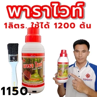 ฅนขี่ม้า พาราไวท์ ขนาด 1 ลิตร พาราไวท์อาหารเสริมยางพารา ปุ๋ยทาหน้ายาง ยาทาหน้ายาง