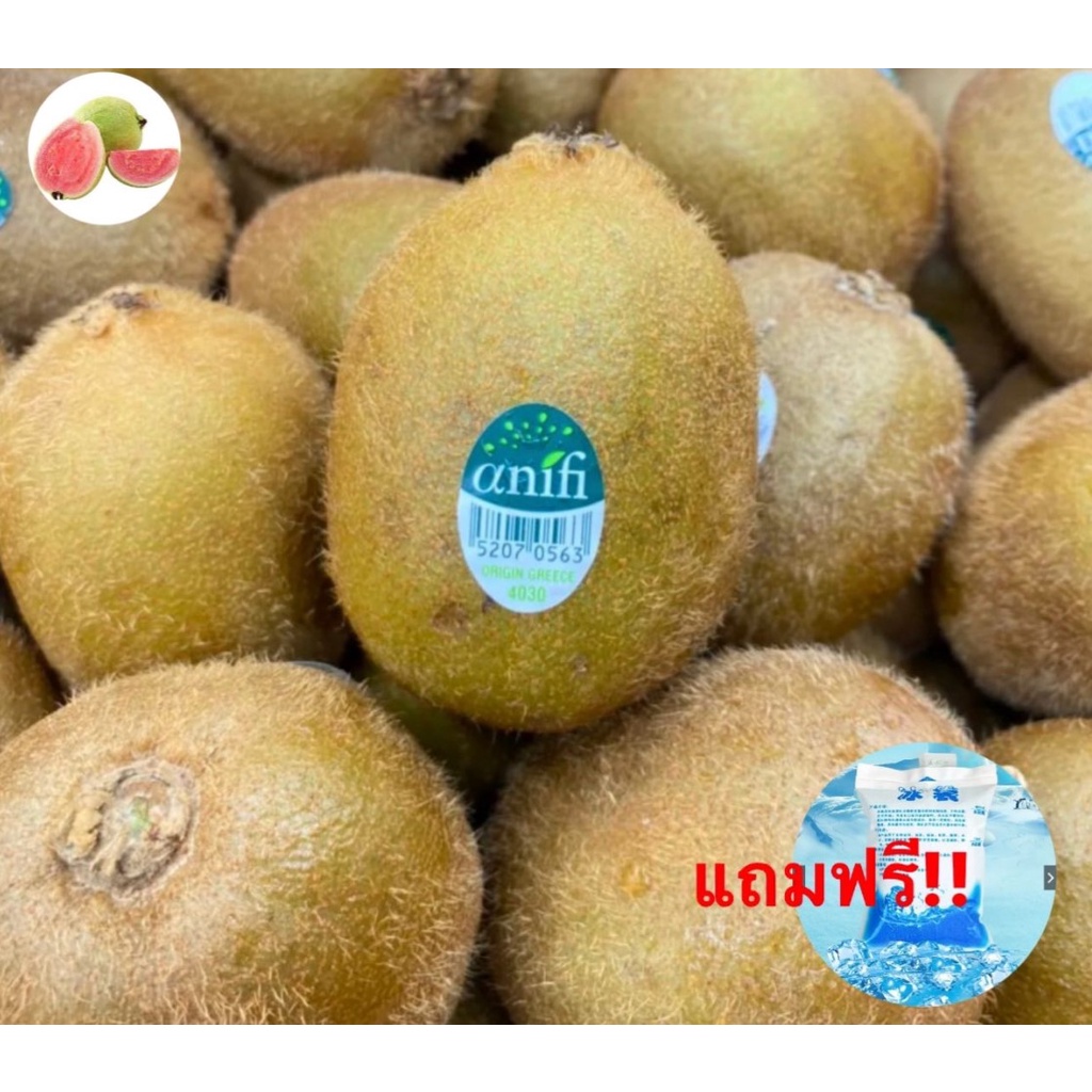 Guava top1กีวี่ทอง KIWI Zespri SunGold (1ลูก) (NewZealand) ~ลดพิเศษ~ Premium ผลไม้พรีเมี่ยม กีวีสด ก