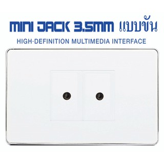 Wall Plate Mini Jack 3.5mm(ขัน)(2ช่อง)