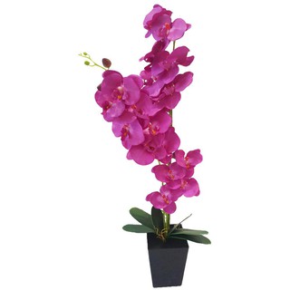 ต้นกล้วยไม้ประดิษฐ์90 ซม. สีม่วง ARTIFICIAL ORCHID LALA HOME 90CM PURPLE