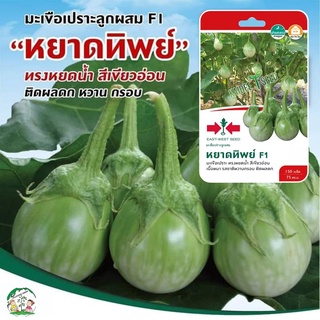 เมล็ดมะเขือเปราะ หยาดทิพย์ (Eggplant) 150 เมล็ด เมล็ดพันธุ์ เมล็ดพันธุ์ผัก เมล็ดพันธุ์พืช ผักสวนครัว ตราศรแดง