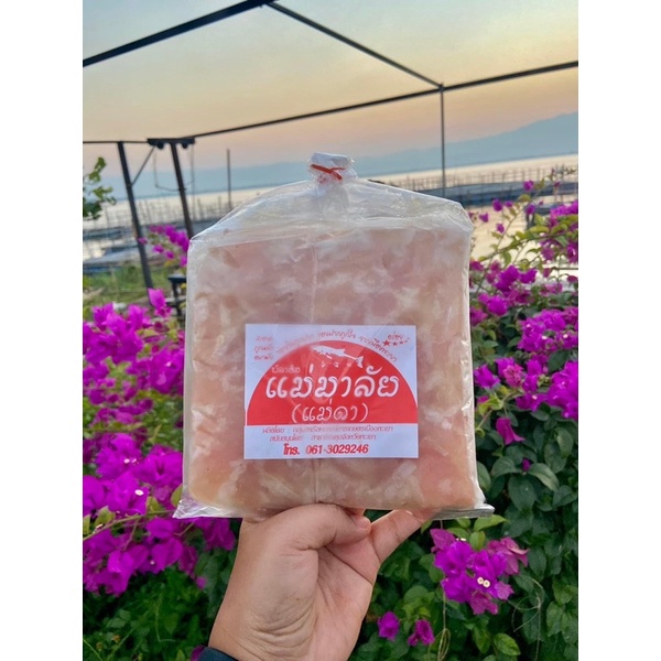 ปลาส้มพะเยา ปลาส้มฟักแบบแผ่น ไร้ก้าง ไร้หนัง  น้ำหนัก 550 g. ห่อละ 109 บาท ปลาส้มเจ้าดังจังหวัดพะเยา