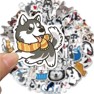✨พร้อมส่ง✨สุนัขโกลเด้น japan shiba dog cat STICKER 50แผ่น กันน้ำ สติ๊กเกอร์ กระโปรงหลังรถ