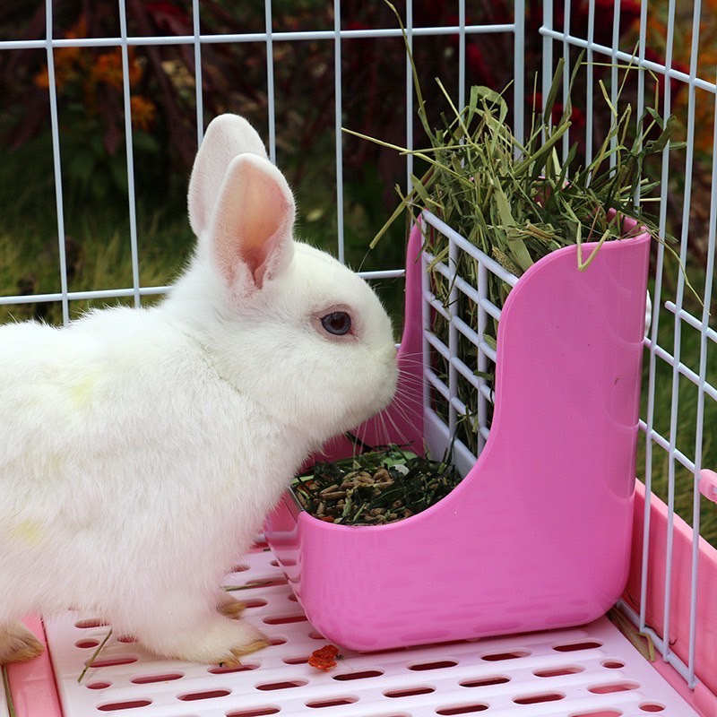 (BP Pets) รางใส่หญ้า ที่ให้หญ้า ที่ให้อาหารกระต่าย ของใช้กระต่าย ที่ใส่หญ้า ชามอาหารกระต่าย รางใส่หญ้า 2 in 1