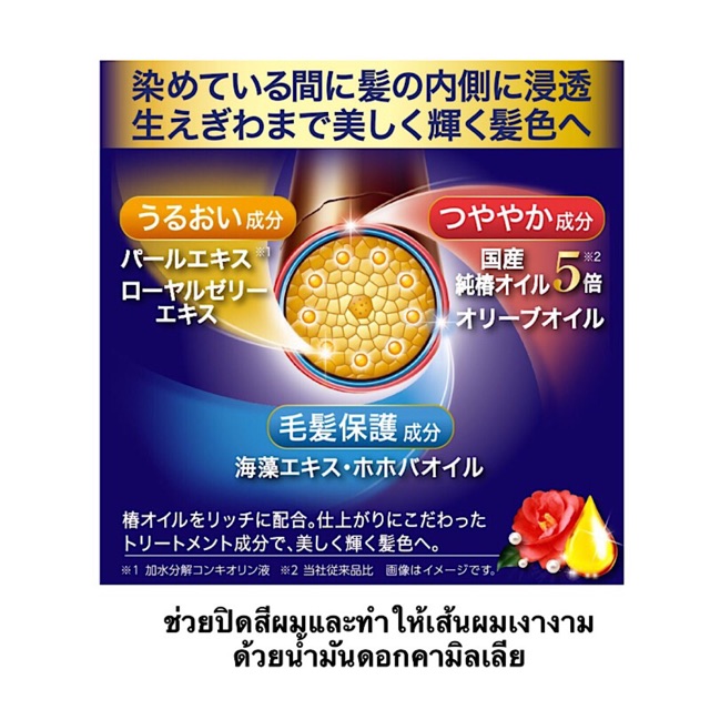 ครีมโฟมปิดผมขาว Salon de Pro จาก Dariya สีนํ้าตาลดำ เบอร์ 6 เกรดพรีเมี่ยมของญี่ปุ่น ทำง่าย