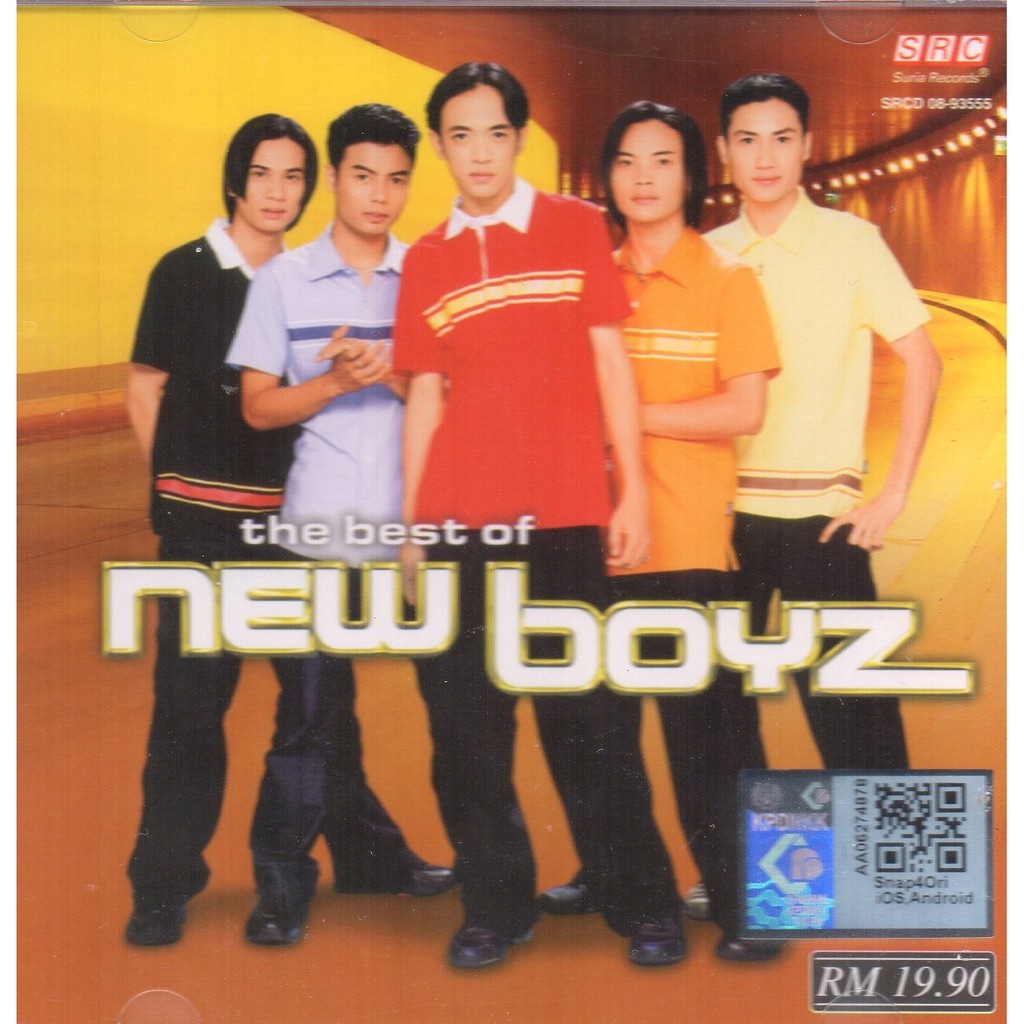 NEW BOYZ - The Best of New Boyz ( CD )
