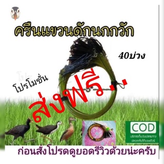 ครืนแขวนนกกวัก 40บ่วง ดักนกเป็ดแดง, แถมรังเก็บ, หมานกันเป็นแถว