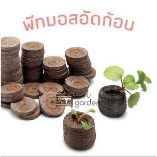 พีทมอสอัดก้อน peat pellet ขนาด 30 มม. และ 40 มม. พีทมอส เหมาะสำหรับ เพาะเมล็ด สะดวก ง่าย ไม่เลอะเทอะ