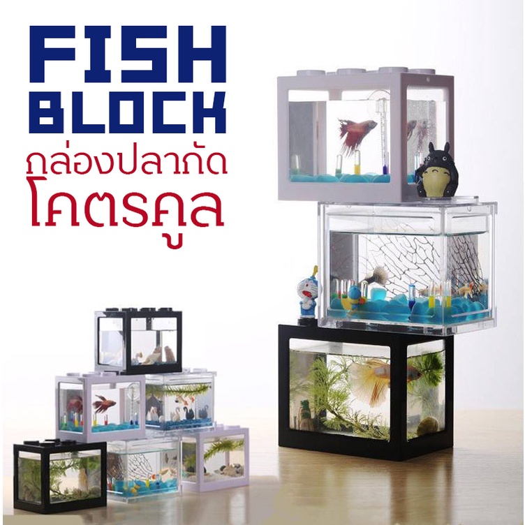 Fish Block กล่องปลากัด ตู้ปลากัด ตู้ปลา ปลาสวยงาม ปลาเล็ก โคตรคูล ดีไซน์ทันสมัย ไม่ซ้ำใคร พร้อมไฟ LED