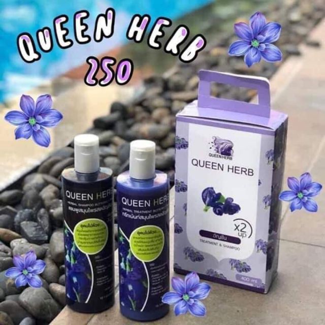 ควีนเฮิร์บ Queen herb