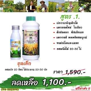 เอฟอช100cc+แกรมม่าทู500cc ของแท้จากบริษัท ชุดทดลองเห็นผลชัดเจน มีส่วนลด💥แถมส่งฟรี❗️