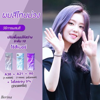 Berina เบอริน่า เซตสีผม โทนม่วง (A38 / A21 / A6)