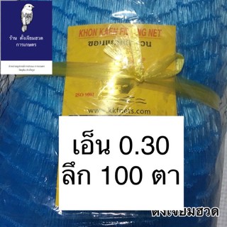 0.30 ลึก 100 ตา ข่ายเอ็นต่อแห จับปลา