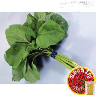 GREEN SPINACH / AMARANTH SEEDS (2,470 seeds)木瓜/上衣/种子/seeds/母婴/苹果/裙子/头饰/园艺/玫瑰/ L4FV
