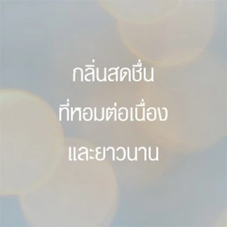 เกลดออโตเมติค สเปรย์ปรับอากาศอัตโนมัติ 252 มล ชนิดรีฟิล แพ็คคู่ (เลือกกลิ่นได้)