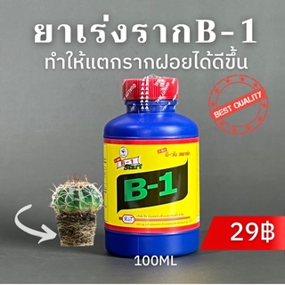 น้ำยาเร่งรากขนาด  B-1 บี-วัน ขนาด100 ml ราคา 29 บาท