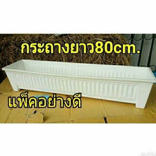 กระถางต้นไม้ กระถางพลาสติก กระถางยาว 80cm.