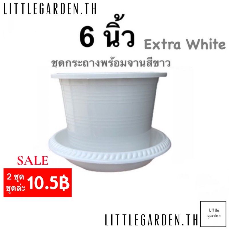 Little ชุดกระถางพร้อมจานขาว 6 นิ้ว (สีขาวออร่าA+ )กระถางต้นไม้ 6 นิ้ว