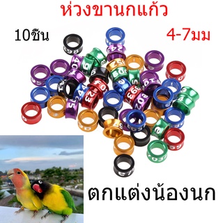 10ชิ้น คละสี ห่วงขานก ห่วงขานกแก้ว ห่วงขานก แหวนนก 4-7 มม ตกแต่งนกแก้ว ทำเครื่องหมายนกแก้ว สุ่มสี