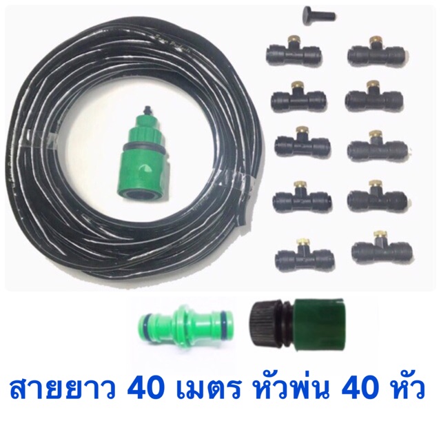 My Image 41