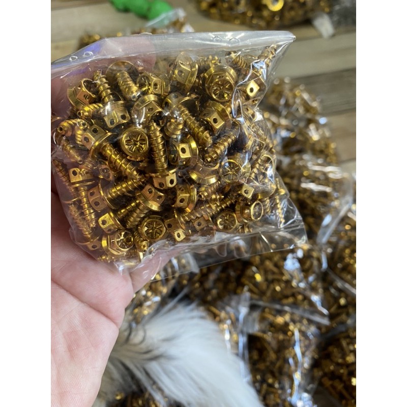 น็อตเกลียวปล่อยชุดสียามาฮ่าหลายรุ่น M5x15 เจาะดอกไม้ ราคา 10ตัว 20ตัว