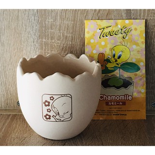 กระถางต้นไม้ดินเผา พร้อมเมล็ดดอกไม้ Chamomile   Tweety by mister Donut  MADE IN JAPAN