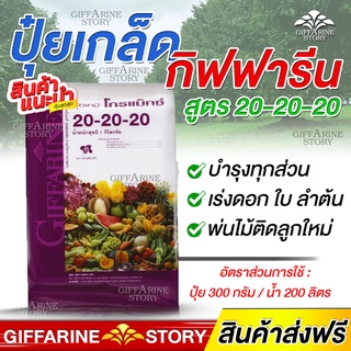 ปุ๋ยสูตรเสมอ ปุ๋ยเกล็ด กิฟฟารีน ปุ๋ยทางใบ สูตร 20-20-20 พัฒนาช่อดอก และ พัฒนาต้น