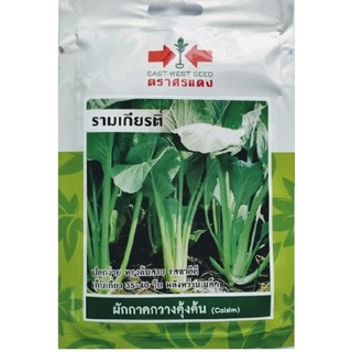 ผักกาดกวางตุ้ง ผักกาดกวางตุ้งต้น 🌿หมดอายุ05/05/2567🌿รามเกียนติ์📌บรรจุ2700เมล็ด ออกดอกช้า มีดอกน้อย ทรงต้นสวย รสชาติดี