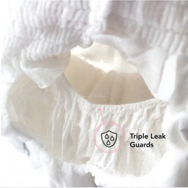 รูปภาพ 8