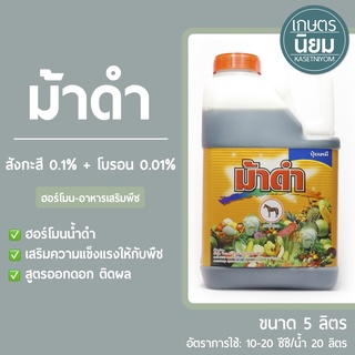 ม้าดำ (แมกนีเซียม 0.2% + เหล็ก 0.02%) 5 ลิตร