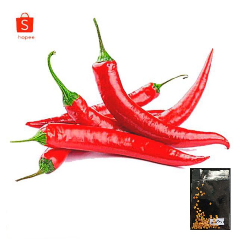 เมล็ดพริก หลายชนิด 100 เมล็ด [10 เเถม 1 คละได้]