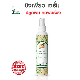 ขิงเพียวเซรั่มปลูกผม ขนาด 120 ml. ช่วยหยุดปัญหาผมร่วง ผมบาง กระตุ้นให้เกิดการสร้างผมใหม่