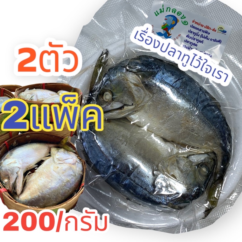 ปลาทูนึ่งแม่กลองแท้#2ตัวอ้วนๆ#น้ำหนัก200กรัม#