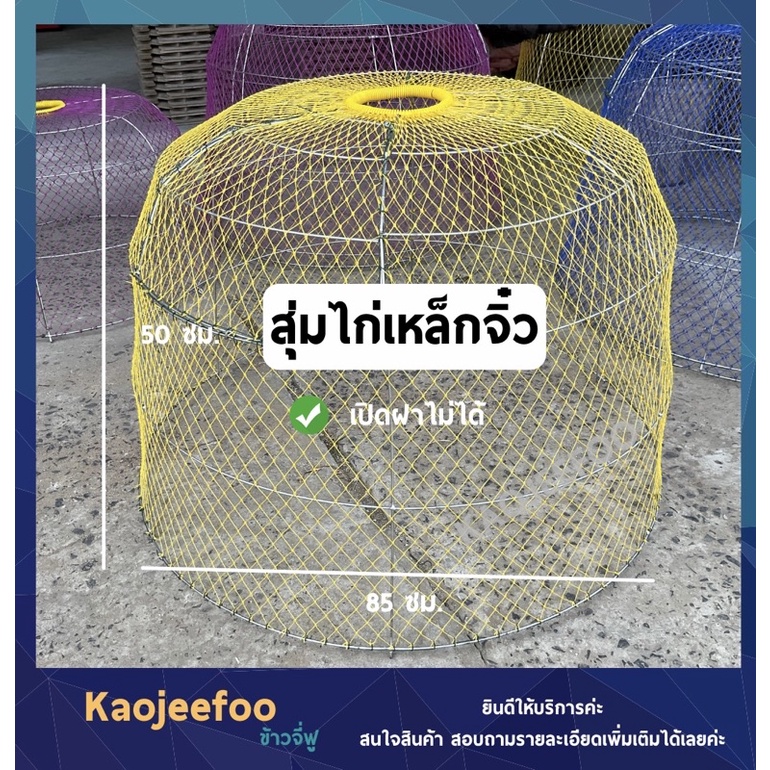 สุ่มไก่รุ่นเล็กสุ่มอนุบาล สุ่มไก่จิ๋ว ซุ้มไก่ สุ่มไก่รุ่นเล็ก เลือกสีได้ พร้อมส่ง