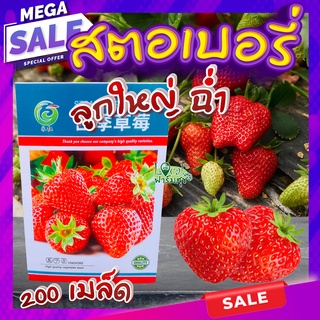 เมล็ดพันธุ์ สตรอว์เบอร์รี่ 200 เมล็ด 🍓Strawberry Giant Seeds เมล็ดพันธุ์แท้100% เมล็ดนำเข้า สตรอเบอร์รี่ ยักษ์