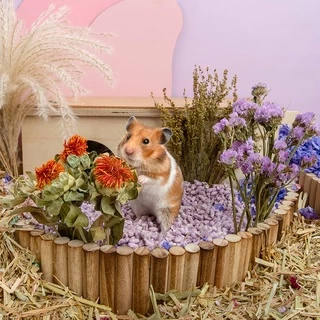 [Hi Hamster] พร้อมส่ง‼️ Harvest Wind Flexseed ธัญพืช มิลเล็ต รองกรง หญ้า Niteangle แอสเพน สัตว์เลี้ยง แฮมสเตอร์