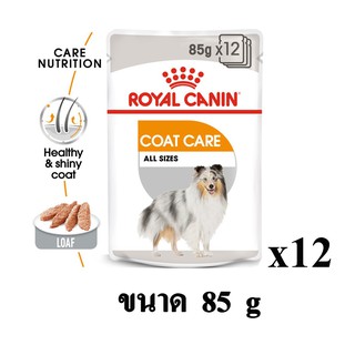 Royal Canin Coat Care อาหารเปียก อาหารสุนัขโต สูตรบำรุงเส้นขน ขนาด 85g.(x12 ซอง)