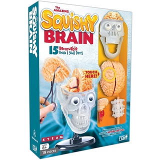 AMAZING SQUISHY BRAIN (SMARTLAB)