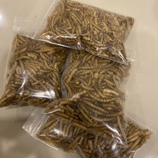 หนอนนกอบแห้ง (20g) หนอนนก Dried Mealworms เหมาะสำหรับชูการ์ไกลเดอร์, กระรอก, เม่น, แพรีด็อก แฮมเตอร์ และสัตว์เลื้อยคลาน