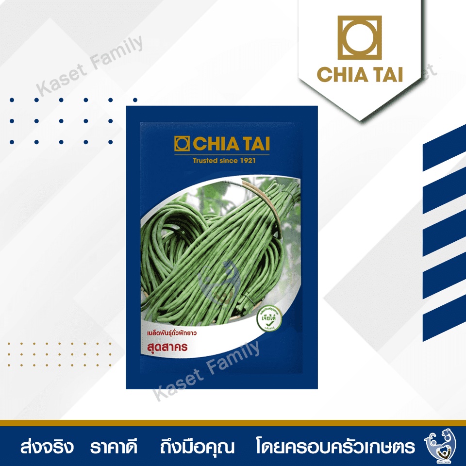 ถั่วเนื้อสุดสาคร บรรจุ 100 กรัม / 500 กรัม เมล็ดถั่ว ตราเจียไต๋
