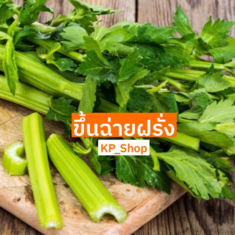 เมล็ดพันธุ์ ผักขึ้นฉ่ายฝรั่ง 1,000 เมล็ด