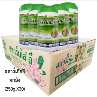 (250กรัม ยกลัง 30 กระปุก) สตาร์เกิลจี(Starkle G) สตาเกิลจี สตาร์เกิล จี สตาเกิล จี สารกำจัดแมลงชนิดดูดซึมเข้าทางระบบราก