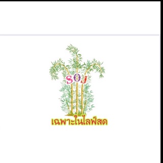 สินค้าในไลฟ์สดเฉพาะลูกค้าในไลฟ์