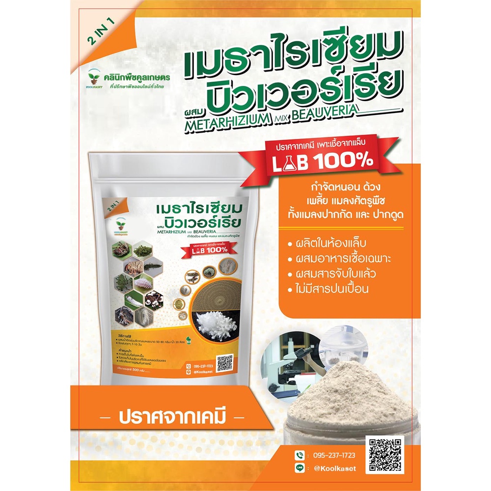 เมธาไรเซียม บิวเวอร์เรีย 500กรัม สูตรชีวภาพปลอดสารเคมี ป้องกันกำจัดหนอน ด้วง เพลี้ย แมลงศัตรูพืช แมลงปากกัด แมลงปากดูด