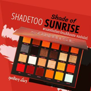 พาเลทอายแชโดว์อายแชโดว์ 24 สี ShadeToo - Eyeshadow Palette