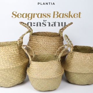 [พร้อมส่ง🚚] ตะกร้าสาน - Seagrass Basket (กระถาง กระถางต้นไม้ กระถางสาน ตะกร้าต้นไม้ กระถางหวาย ตะกร้าหวาย)